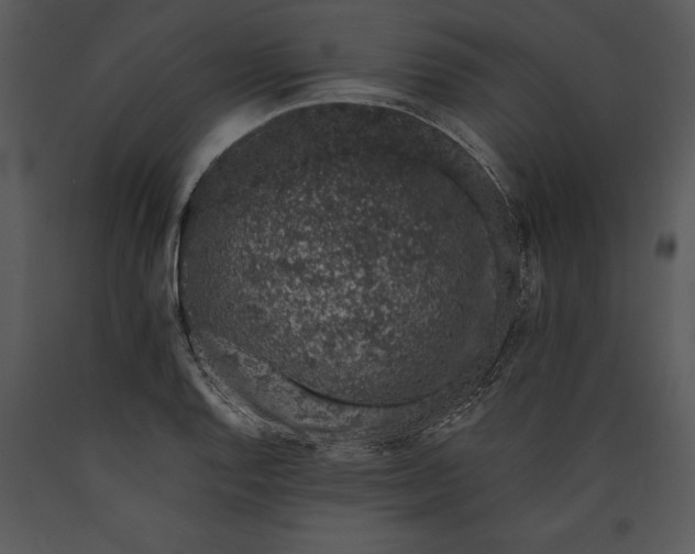 X0000089661128200707191642
