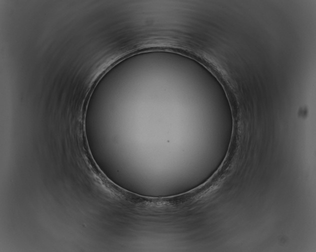 X0000089661129200707191642