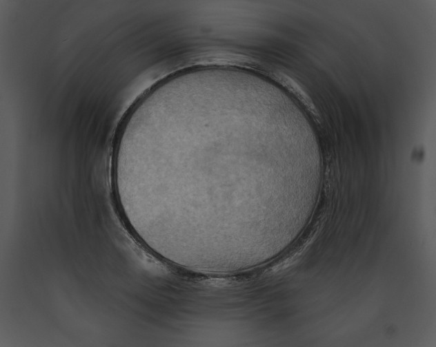 X0000089661130200707191642