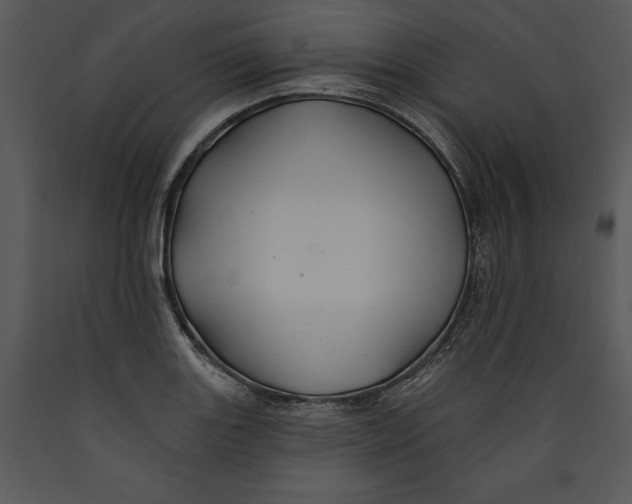 X0000089661131200707191642