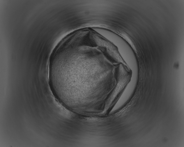 X0000089661132200707191642
