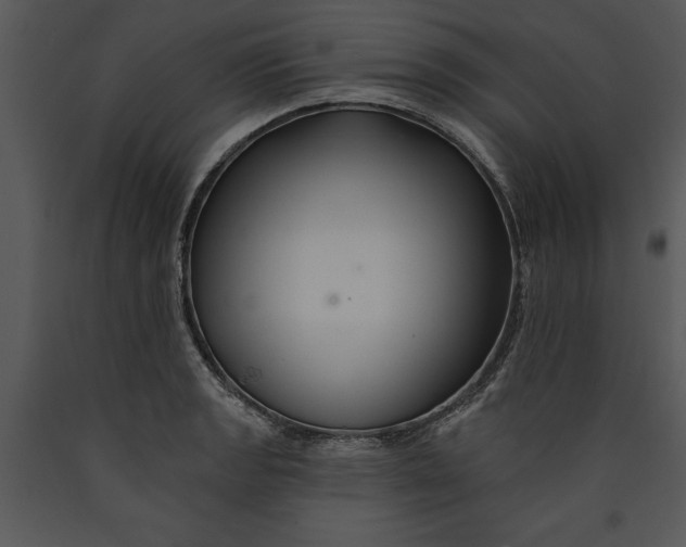 X0000089661133200707191642