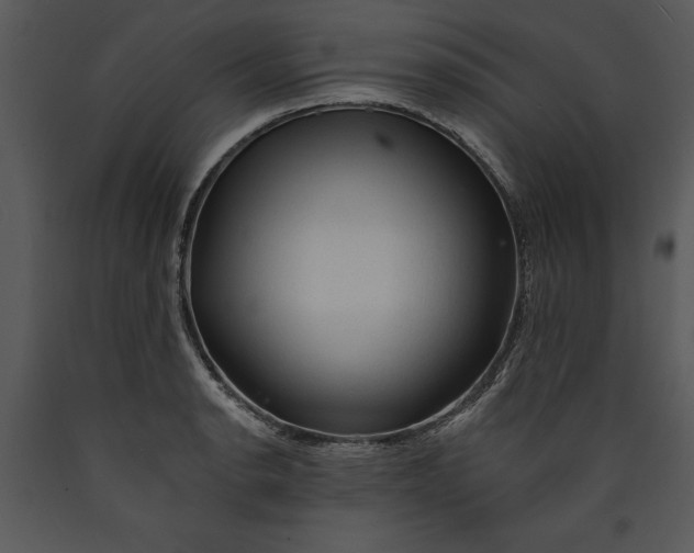 X0000089661134200707191642