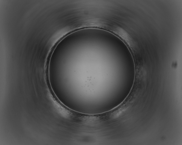 X0000089661135200707191642