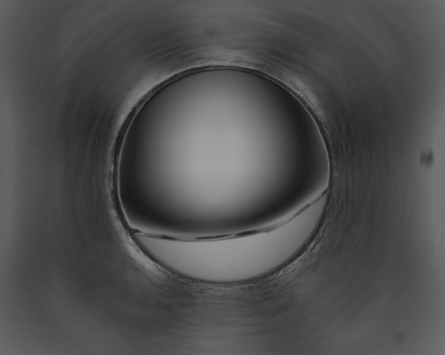 X0000089661136200707191642