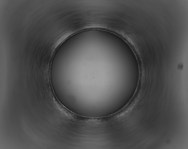X0000089661137200707191642