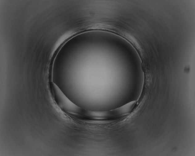 X0000089661138200707191642