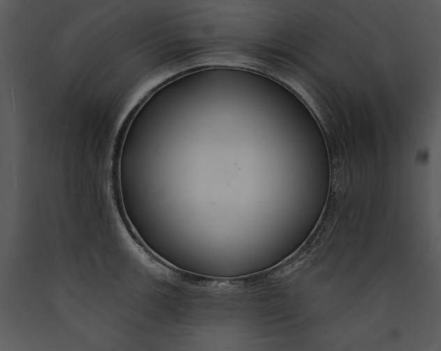 X0000089661139200707191642