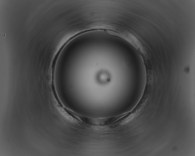 X0000089661140200707191642
