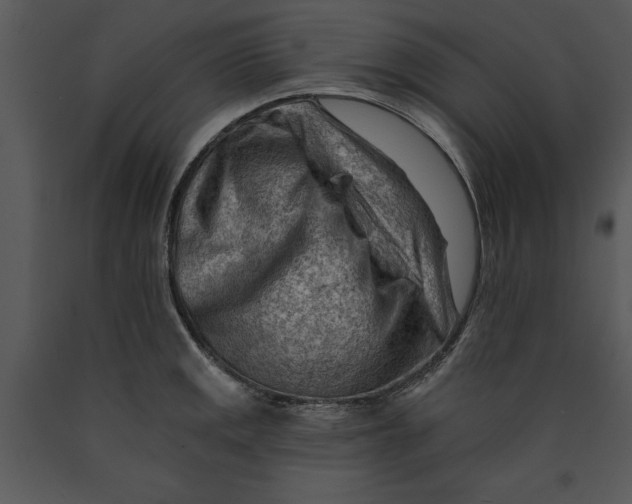 X0000089661141200707191642