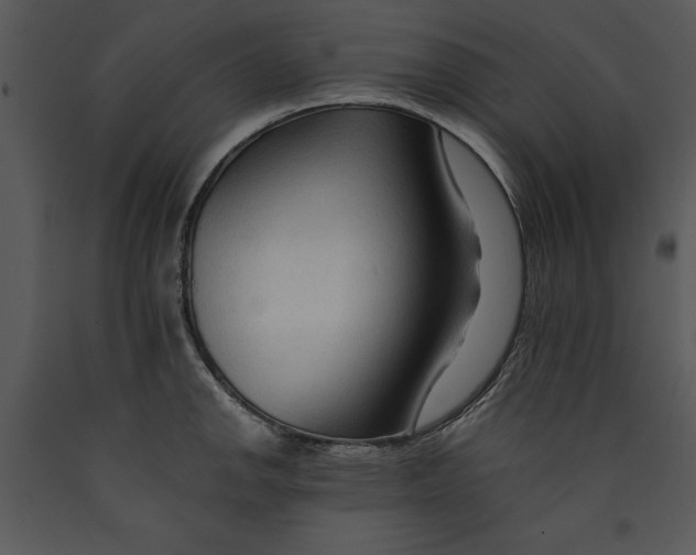 X0000089661142200707191642