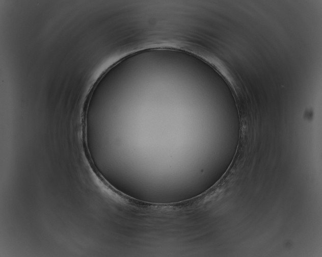 X0000089661143200707191642