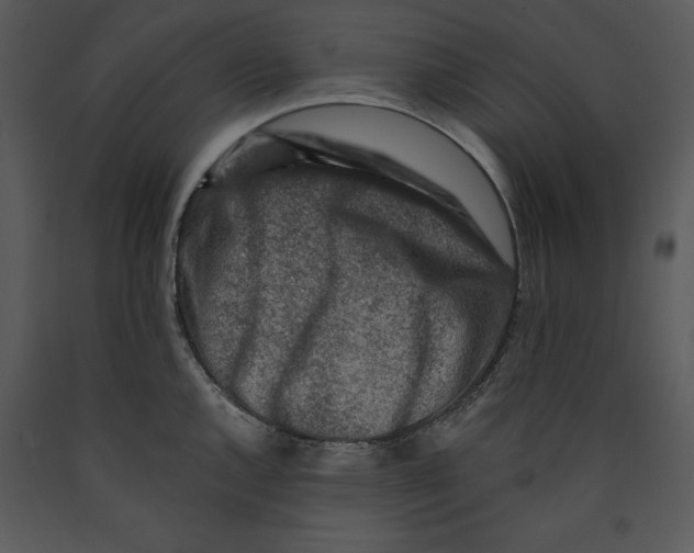 X0000089661144200707191642