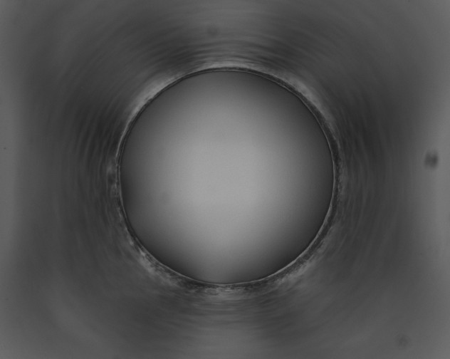X0000089661145200707191642