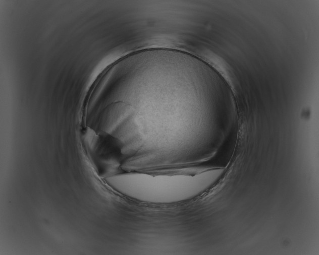 X0000089661146200707191642