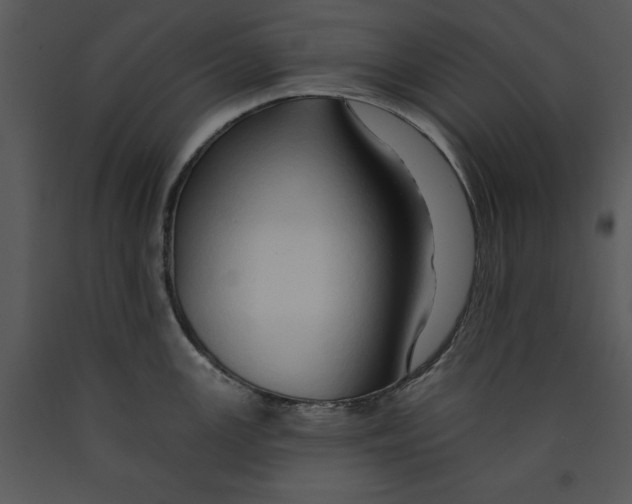 X0000089661147200707191642