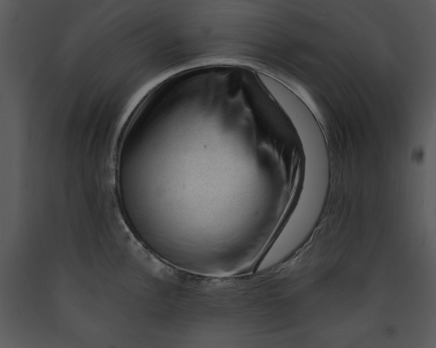 X0000089661148200707191643