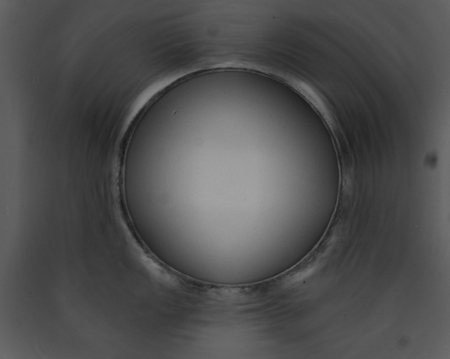 X0000089661149200707191643