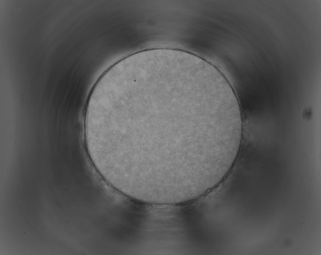 X0000089661150200707191643