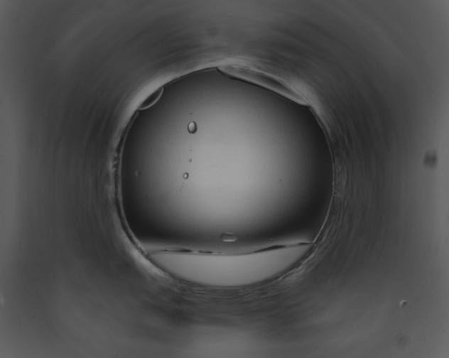 X0000089661151200707191643