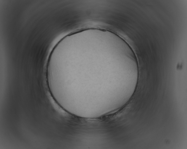 X0000089661152200707191643