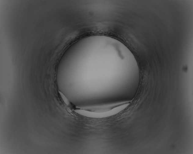 X0000089661153200707191642