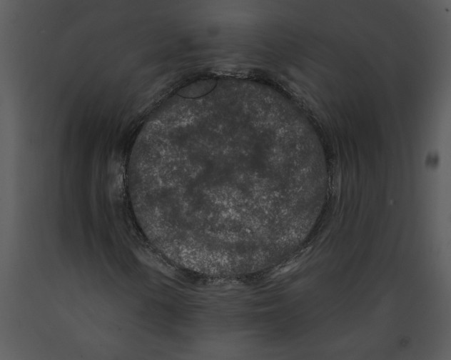 X0000089661154200707191642