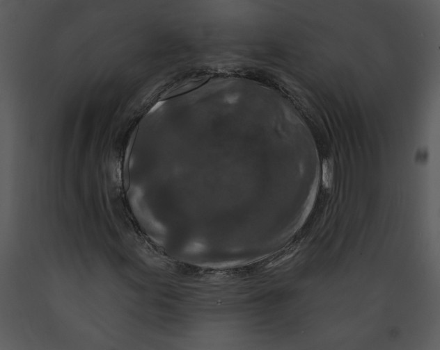 X0000089661155200707191642