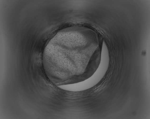 X0000089661156200707191642