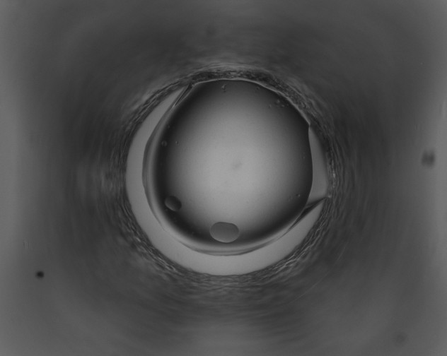 X0000089661157200707191642