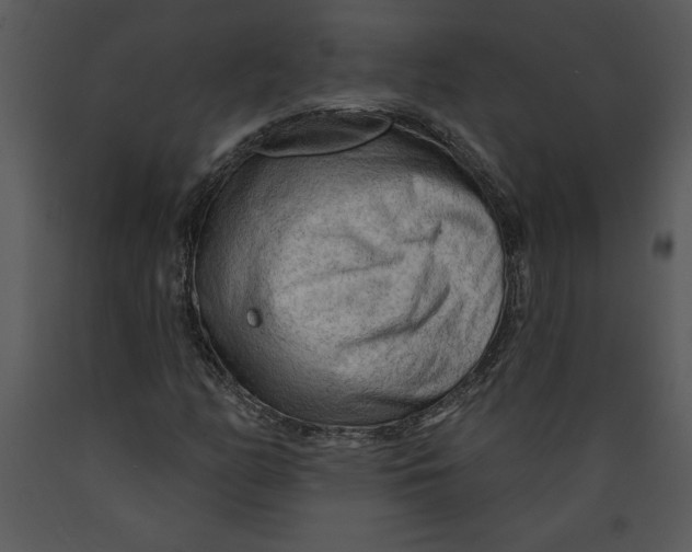 X0000089661158200707191642