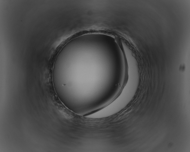 X0000089661160200707191642