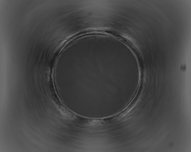 X0000089661161200707191642