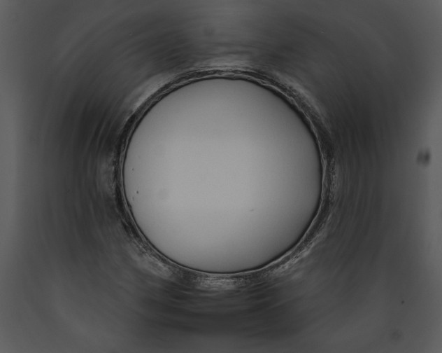 X0000089661162200707191642