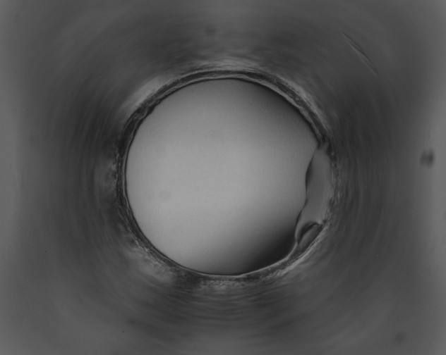 X0000089661163200707191642