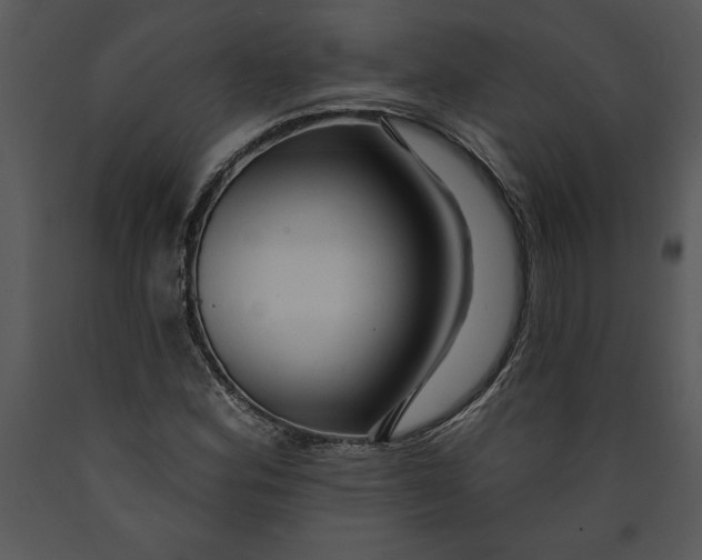 X0000089661164200707191642