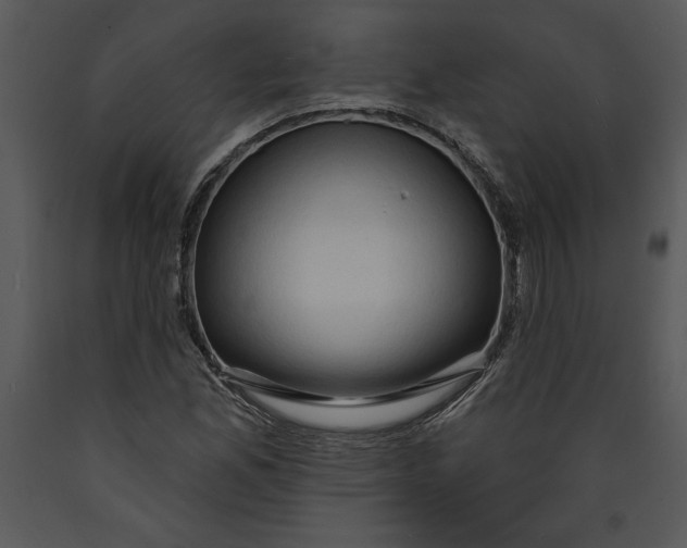 X0000089661165200707191642