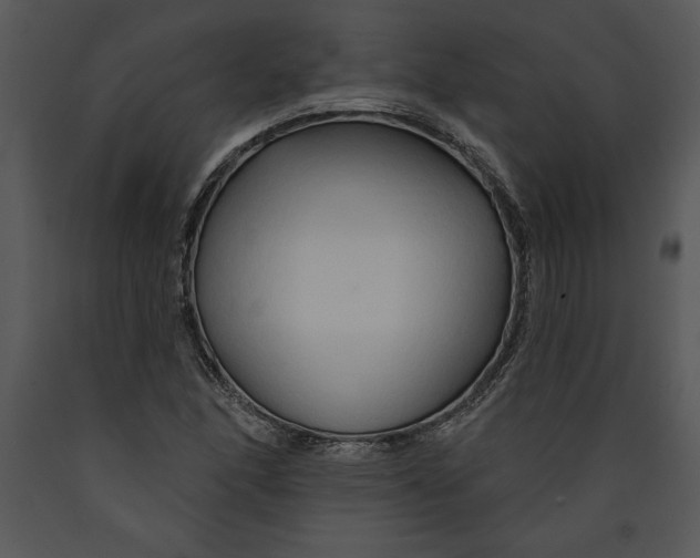 X0000089661166200707191642