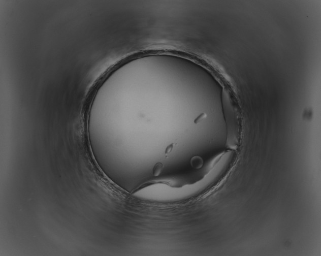 X0000089661167200707191642