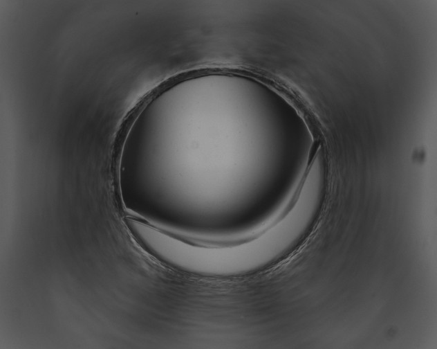X0000089661168200707191642
