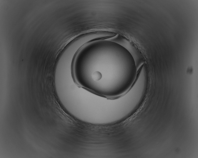 X0000089661169200707191642