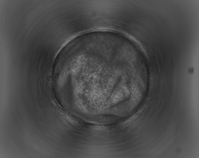 X0000089661170200707191642