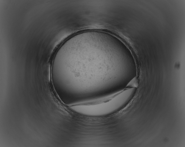 X0000089661171200707191642