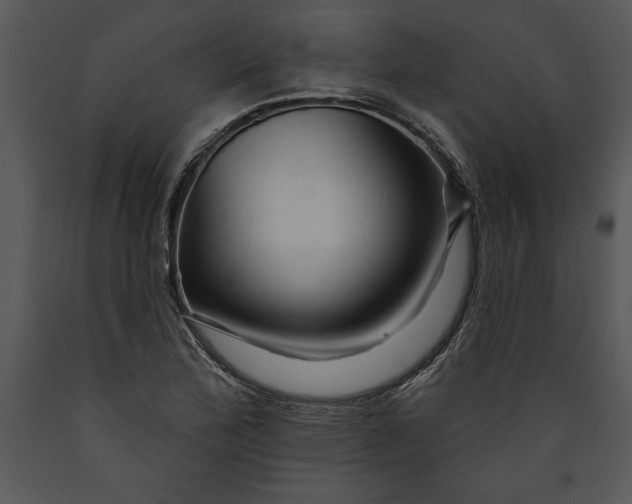 X0000089661172200707191642