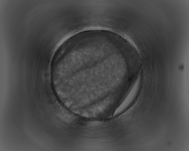 X0000089661173200707191642