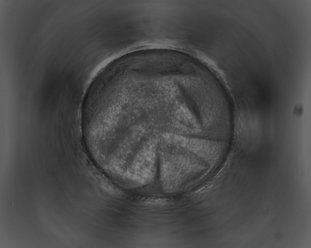 X0000089661174200707191642