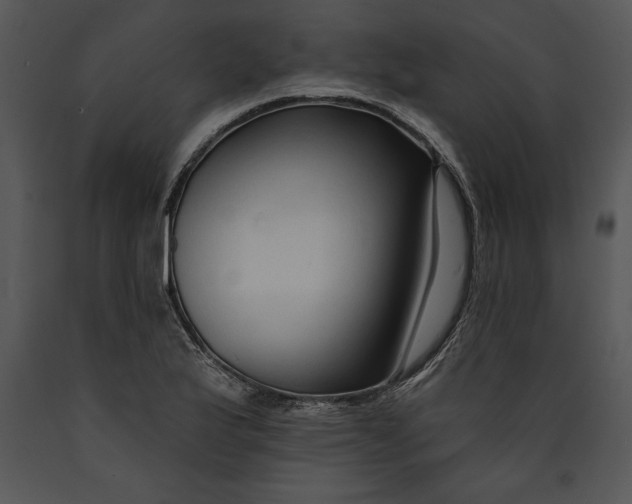 X0000089661175200707191642
