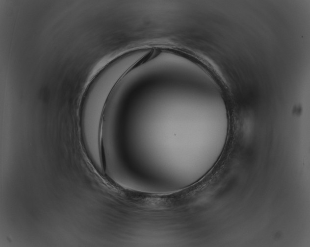X0000089661176200707191642
