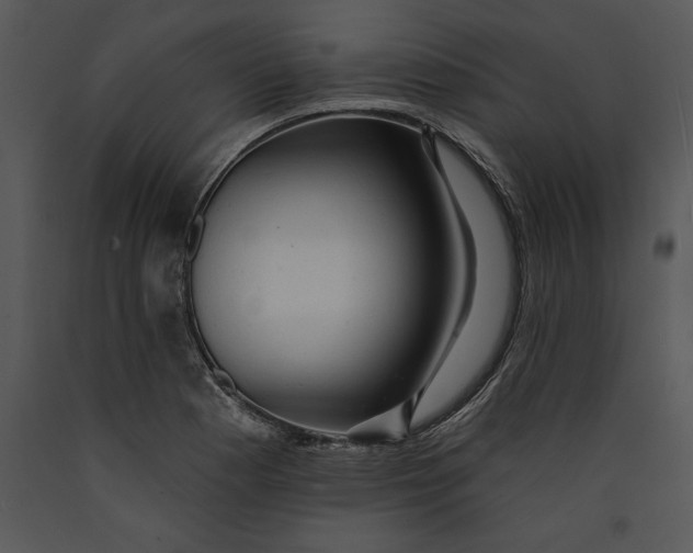 X0000089661177200707191642