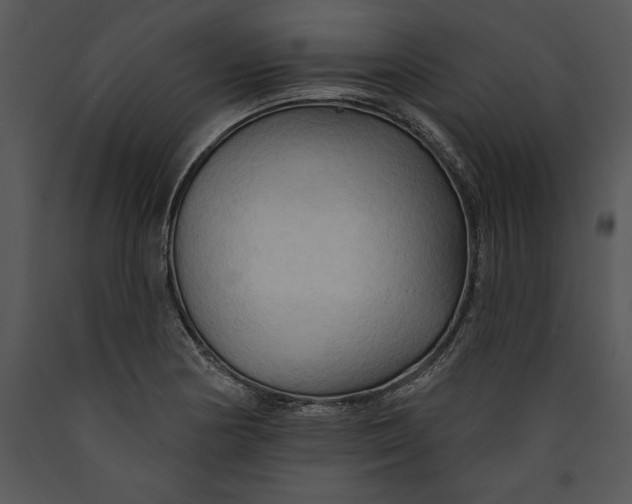 X0000089661178200707191642